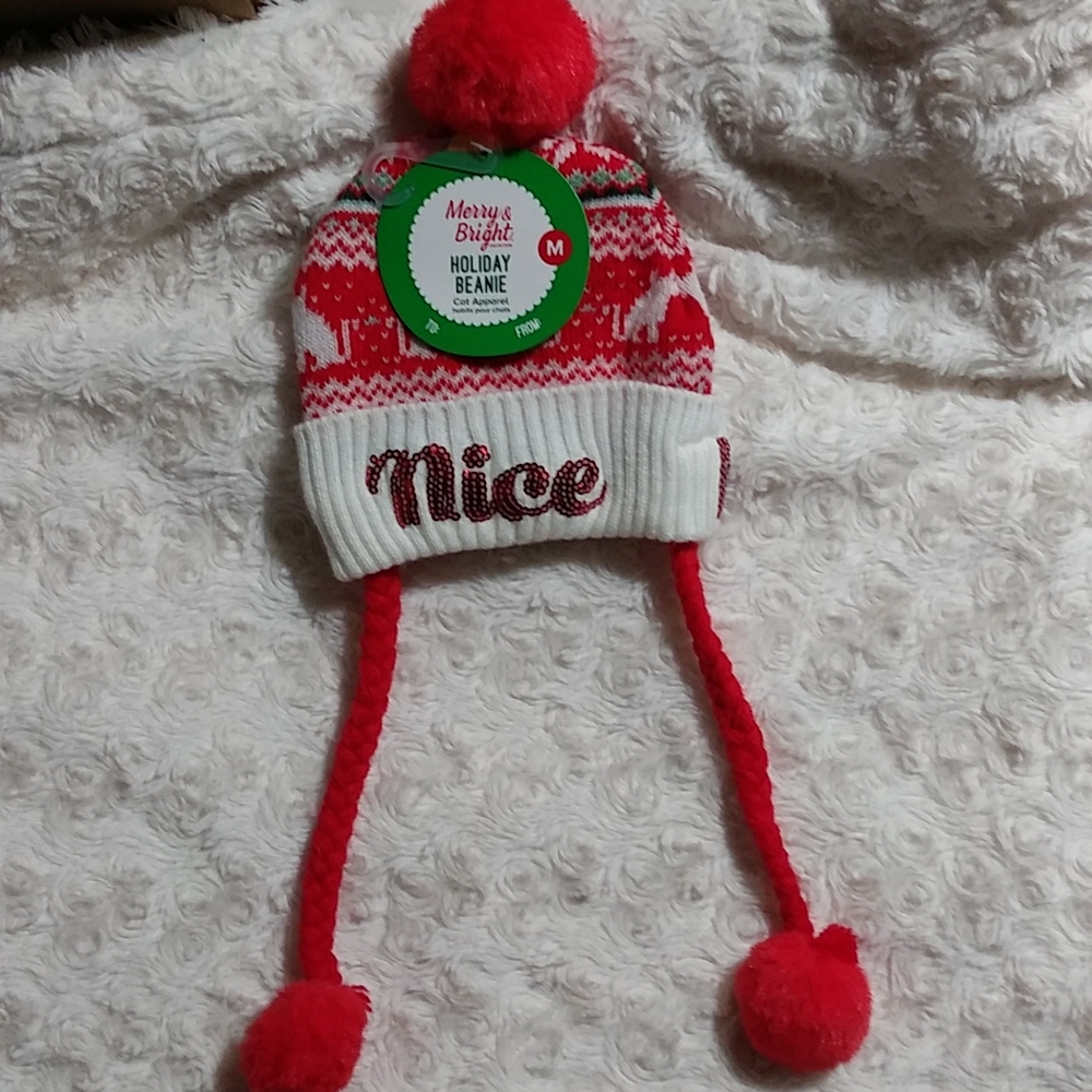 Cat beanie holiday